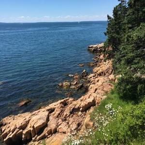 Meet your Posher, Jill